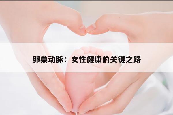 卵巢动脉:女性健康的关键之路