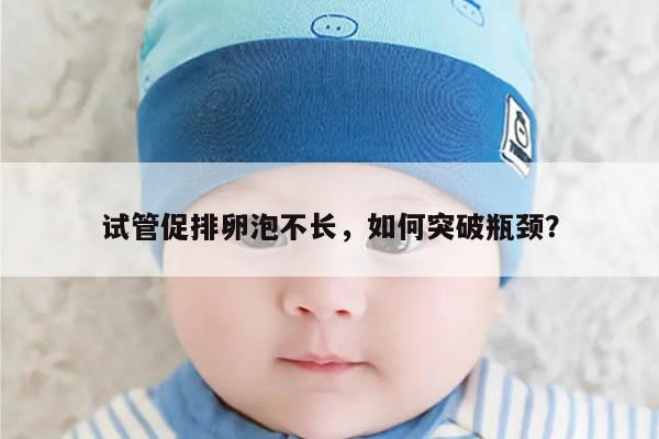 试管促排卵泡不长,如何突破瓶颈?