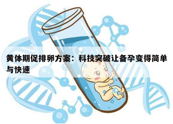 黄体期促排卵方案：科技突破让备孕变得简单与快速