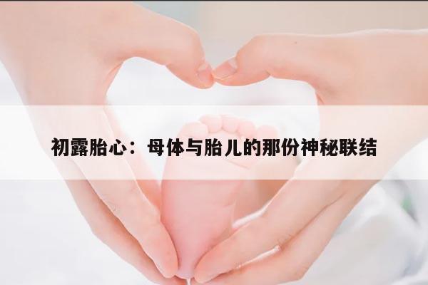 初露胎心:母体与胎儿的那份神秘联结