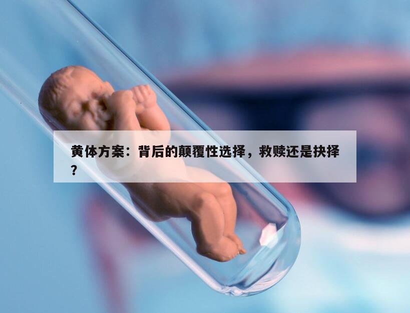 黄体方案：背后的颠覆性选择，救赎还是抉择？