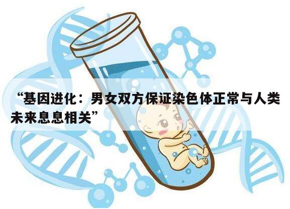 基因进化:男女双方保证染色体正常与人类未来息息相关