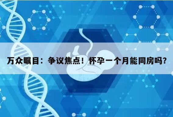 万众瞩目：争议焦点！怀孕一个月能同房吗？