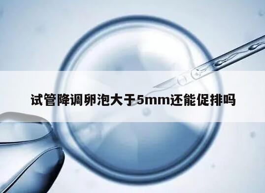 试管降调卵泡大于5mm还能促排吗