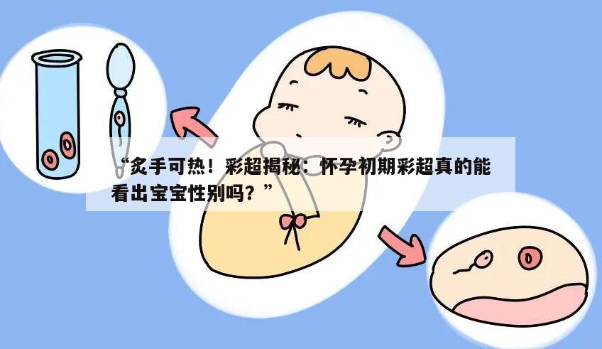 彩超揭秘:怀孕初期彩超真的能看出宝宝性别吗?