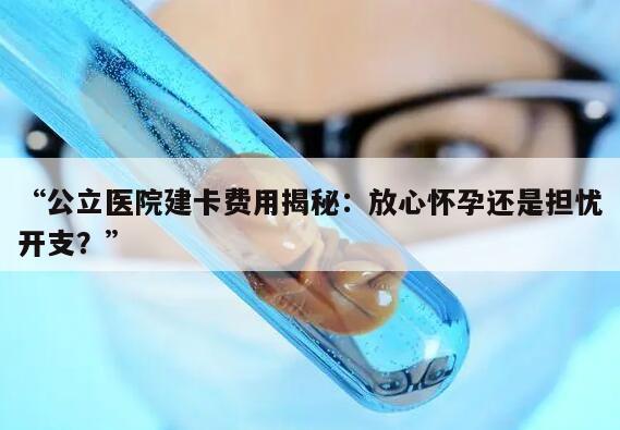 怀孕在公立医院建卡的费用是多少?