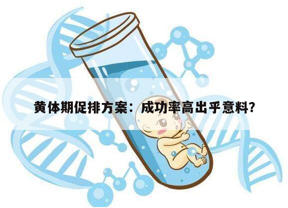 黄体期促排方案:成功率高出乎意料?