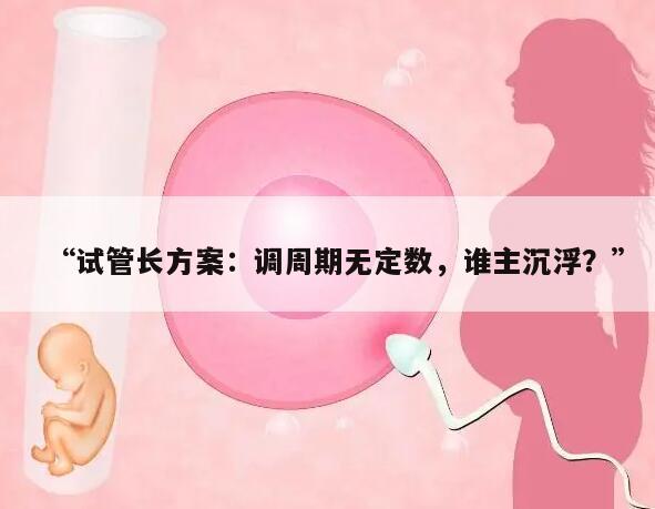 试管长方案:调周期无定数,谁主沉浮?