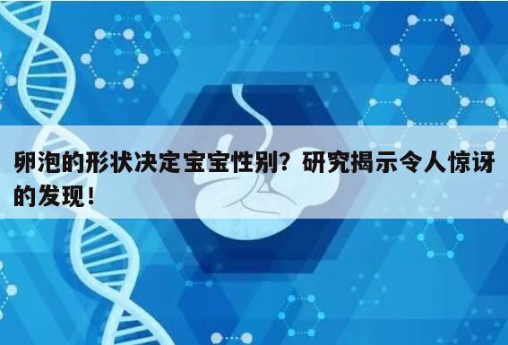 卵泡的形状决定宝宝性别?研究揭示令人惊讶的发现!