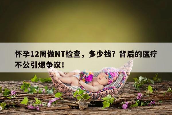 NT检查对于怀孕12周的重要性