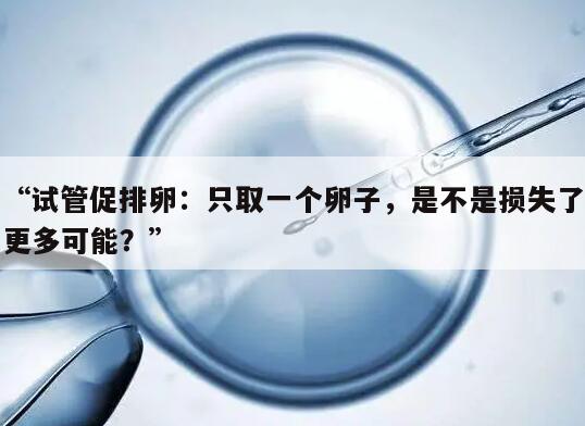 试管促排卵:只取一个卵子,是不是损失了更多可能?