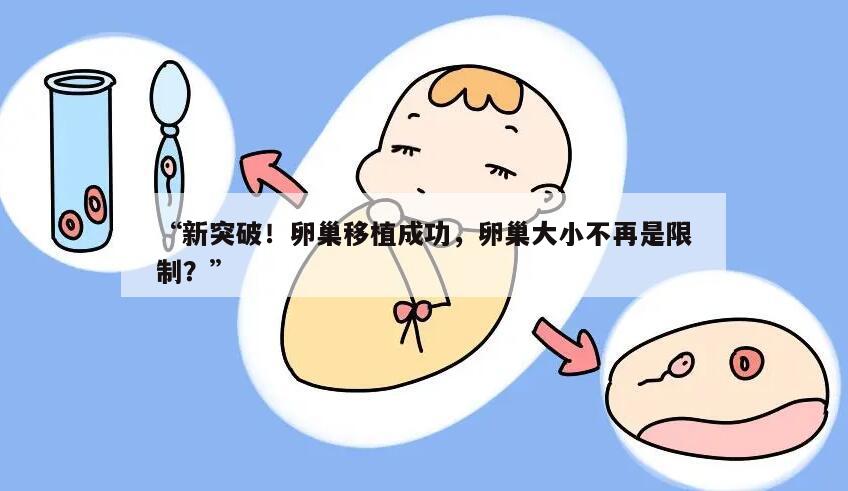 卵巢移植成功,卵巢大小不再是限制?