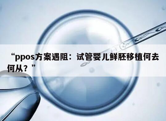 ppos方案遇阻：试管婴儿鲜胚移植何去何从？