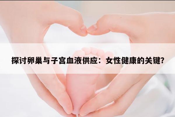 探讨卵巢与子宫血液供应：女性健康的关键？