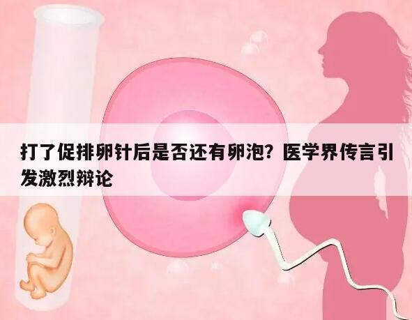 打了促排卵针出血后，卵泡是否仍然存在？