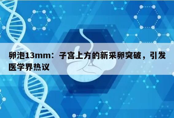 卵泡13mm：子宫上方的新采卵突破，引发医学界热议