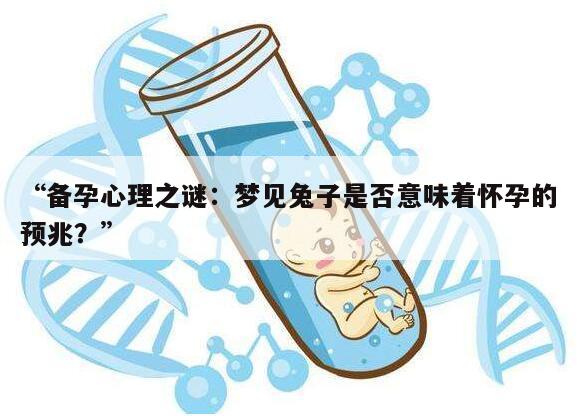 备孕心理之谜：梦见兔子是否意味着怀孕的预兆？
