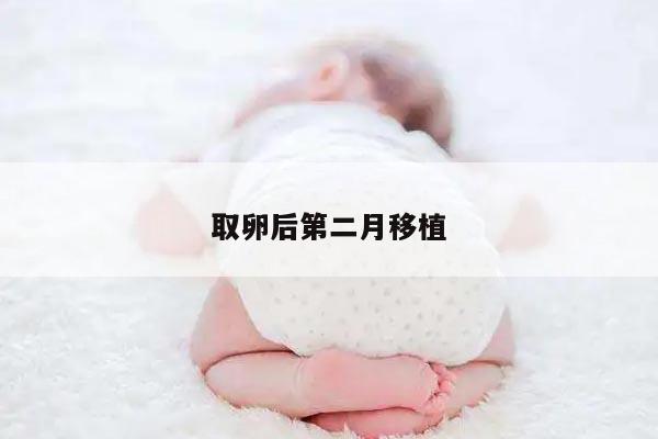 取卵后第二月移植:希望的延续