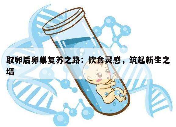 取卵后卵巢需要多久恢复正常?