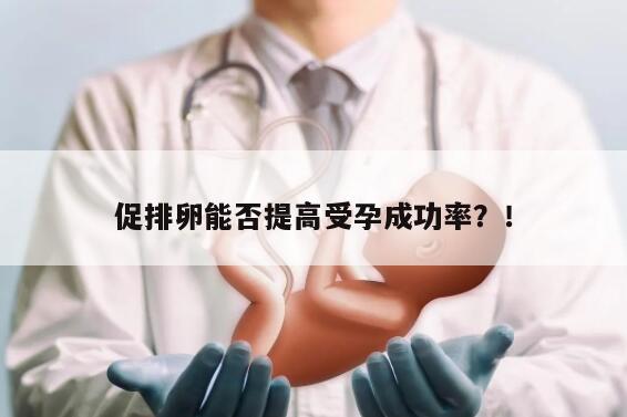 促排卵能否提高受孕成功率？