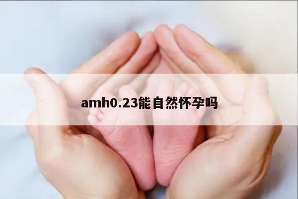 AMH 0.23:自然怀孕是否可能?