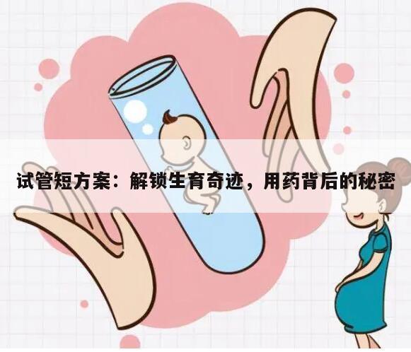试管短方案:解锁生育奇迹,用药背后的秘密