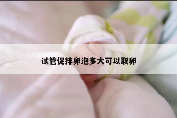 试管促排卵泡多大可以取卵