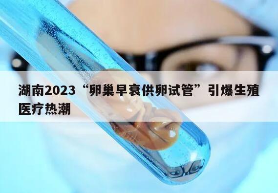 湖南2023“卵巢早衰供卵试管”引爆生殖医疗热潮