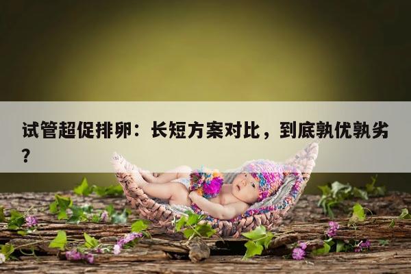 试管超促排卵:长短方案对比,到底孰优孰劣?