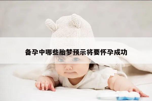 备孕中哪些胎梦预示将要怀孕成功