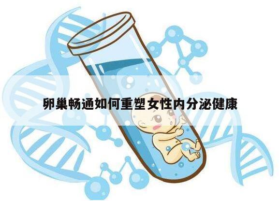 卵巢畅通如何重塑女性内分泌健康