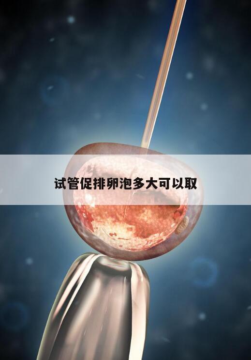 试管促排卵泡多大可以取