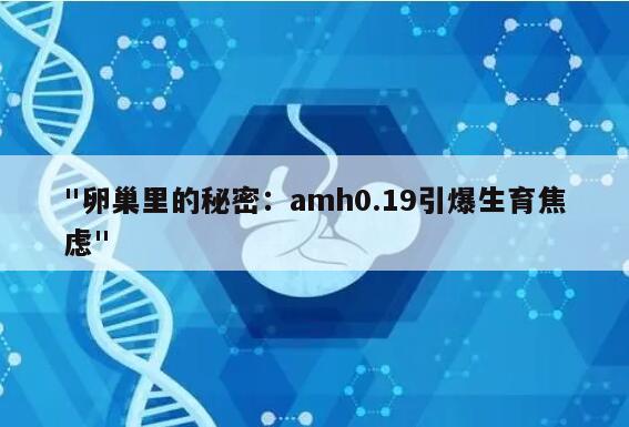 AMH0.19:揭示卵巢中尚存卵子的重要指标