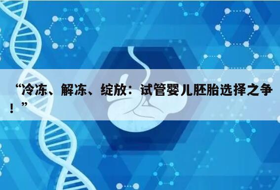 试管婴儿移植:鲜胚、冻胚和囊胚的选择