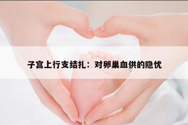 子宫上行支结扎对卵巢血供的影响