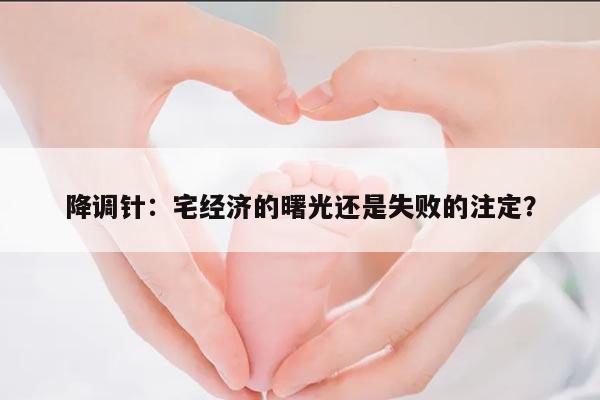降调针：宅经济的曙光还是失败的注定？