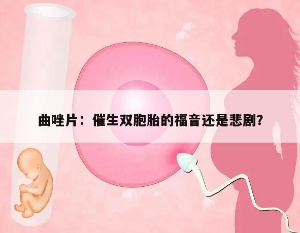 曲唑片:催生双胞胎的福音还是悲剧?