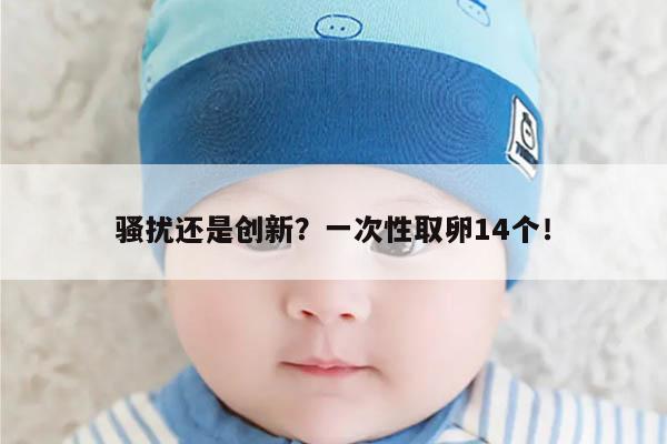 骚扰还是创新?一次性取卵14个!