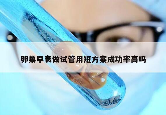 卵巢早衰做试管用短方案成功率高吗?