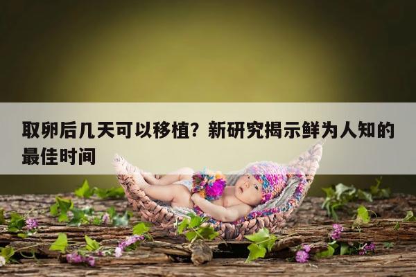 取卵后几天可以移植？新研究揭示鲜为人知的最佳时间