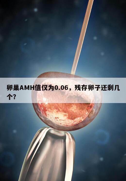 卵巢AMH值0.06与卵子数量的关系