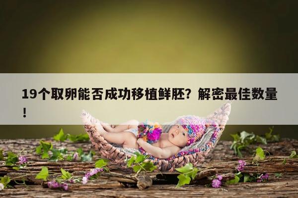 19个取卵能否成功移植鲜胚？解密最佳数量！