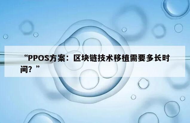 PPOS方案：区块链技术移植需要多长时间？