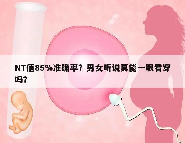 13周通过nt值看男女的准确率是否真的达到85%