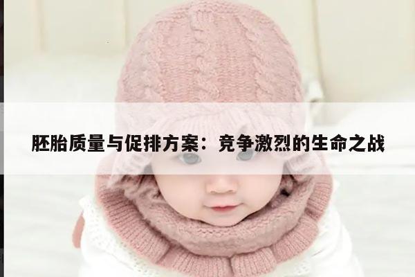 胚胎质量与促排方案：竞争激烈的生命之战