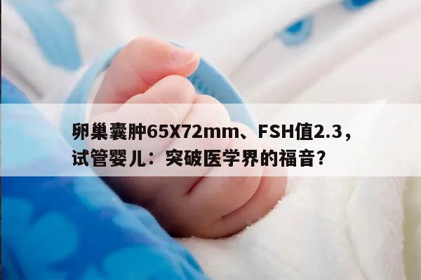 试管婴儿的成功率和注意事项