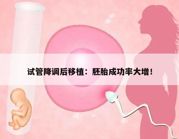 试管降调后移植:胚胎成功率大增!
