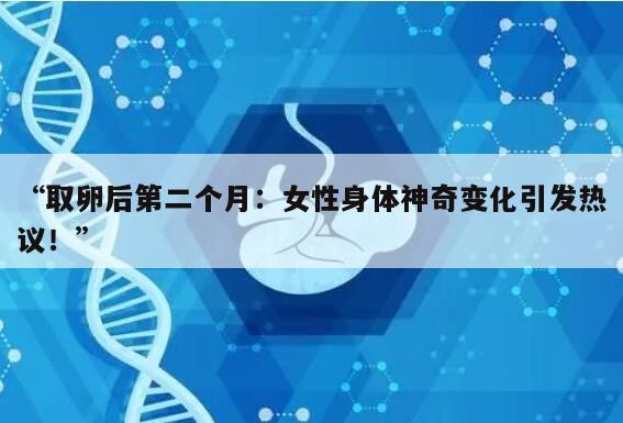 取卵后第二个月是否会排卵?