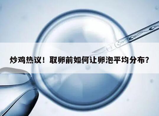 取卵前如何让卵泡平均分布?