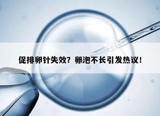 打了促排卵针卵泡不长的原因及解决办法